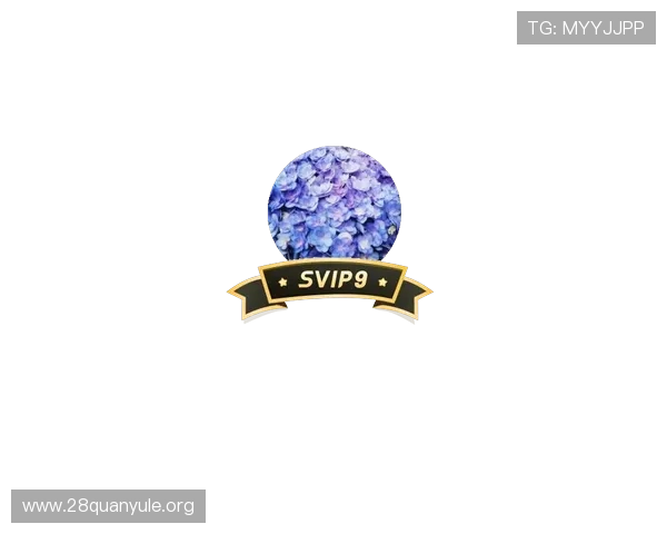 南宫娱乐官网入口地址2024年最新版本,提供稳定安全的登录通道保障玩家游戏体验